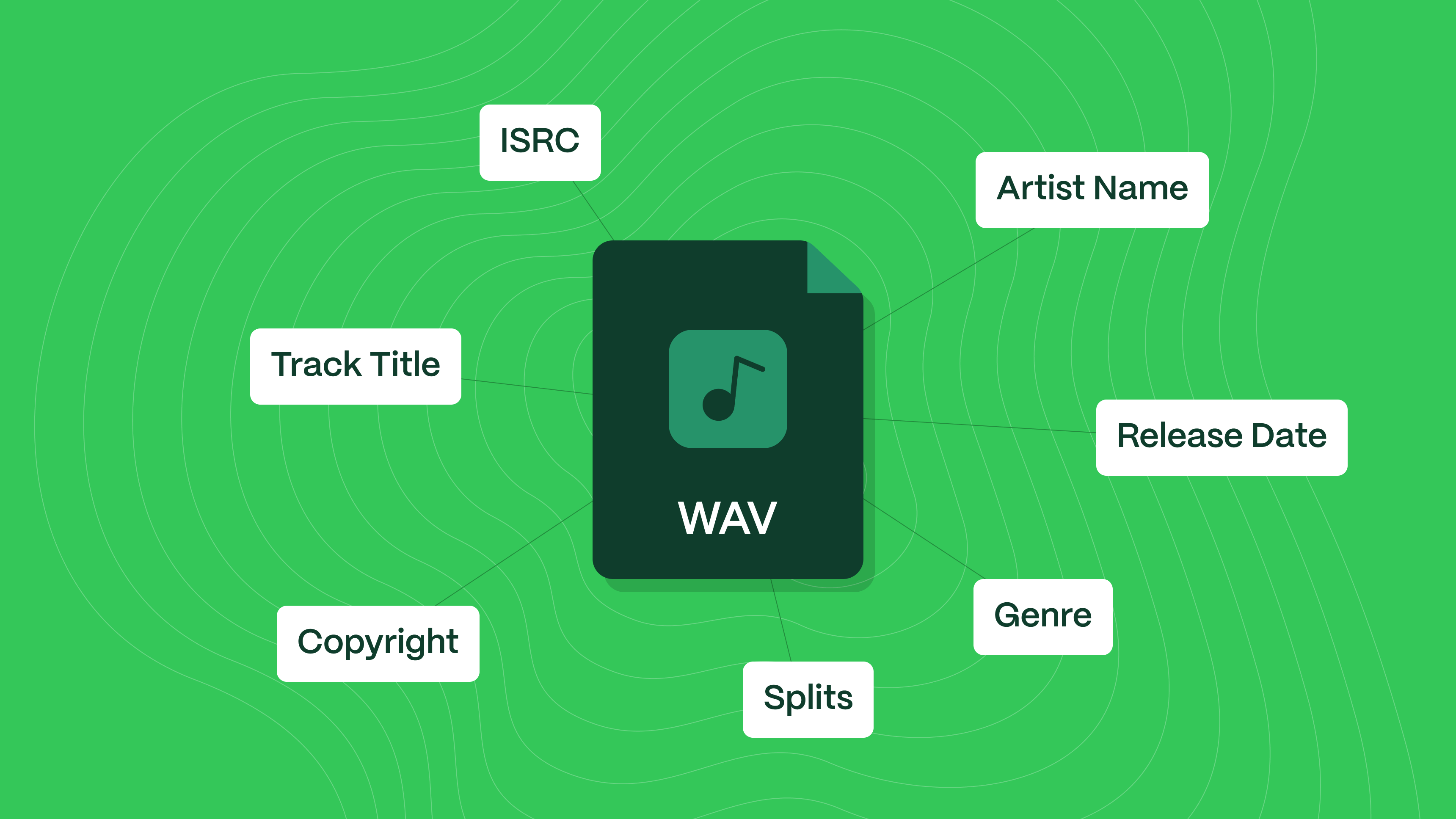 A central WAV file icon is surrounded by labelled tags: ISRC, Artist Name, Release Date, Genre, Splits, Copyright, and Track Title, all connected by lines on a green background with wavy contour lines.